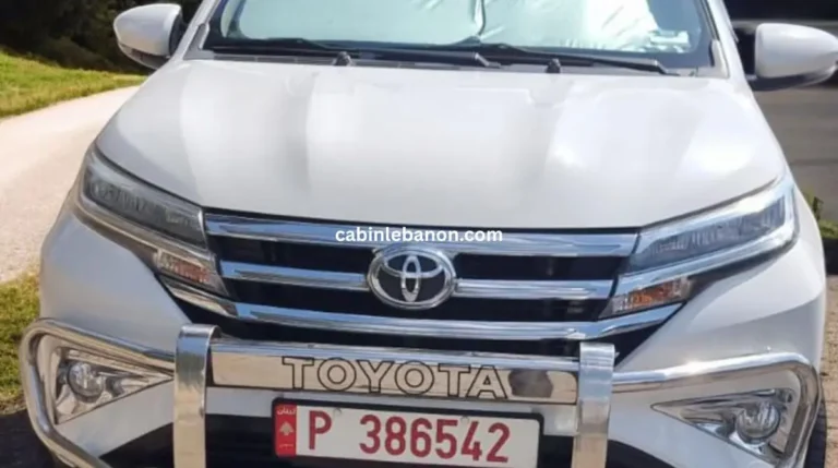 سيارة مع سائق في لبنان